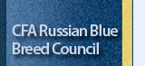 cfa russian blue breed council
