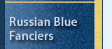 russian blue fanciers